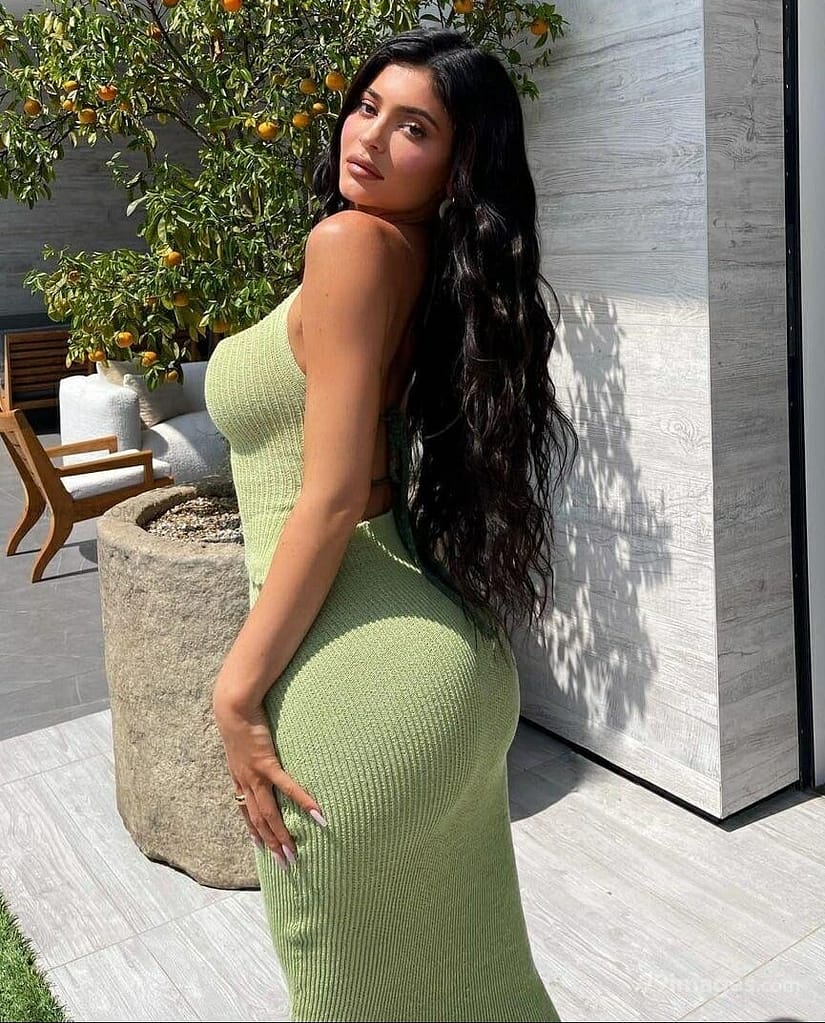 Kylie Jenner Body Fit Dress